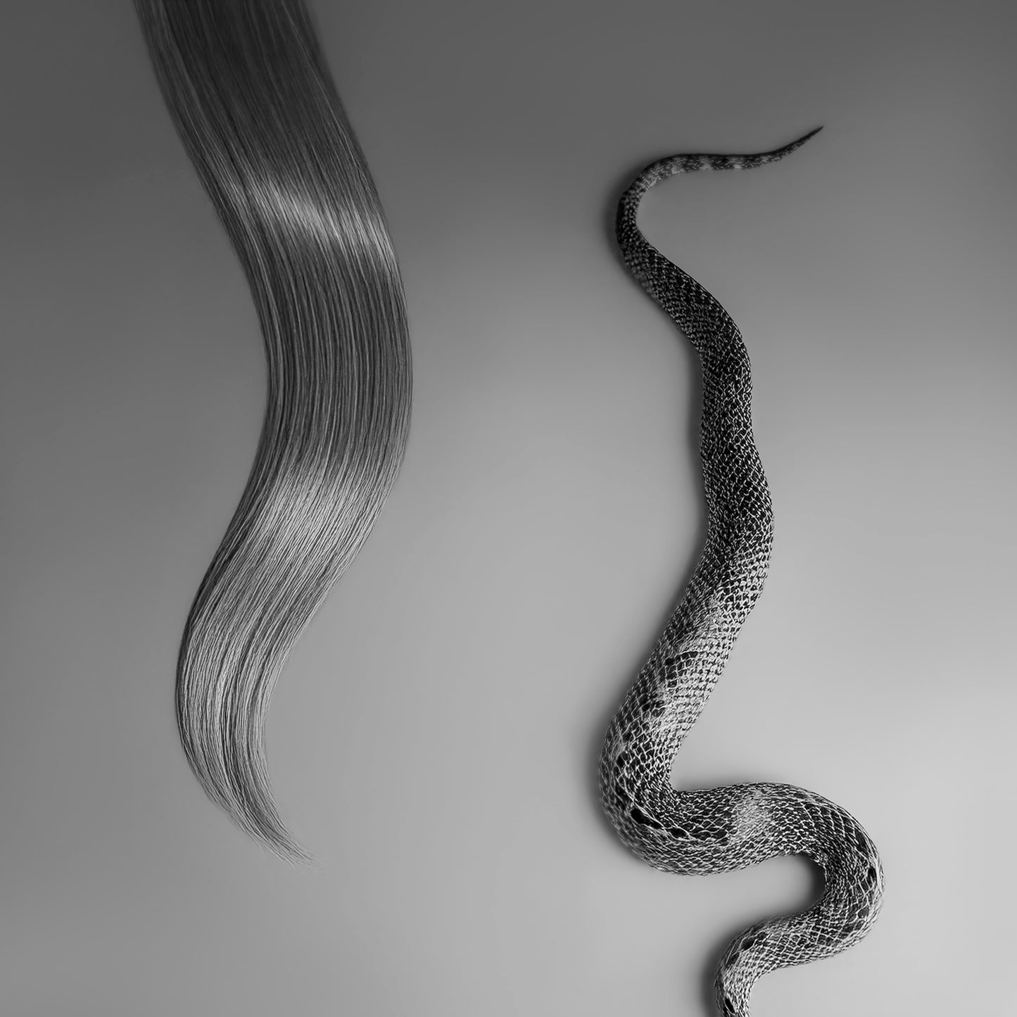 She Comes With Fangs